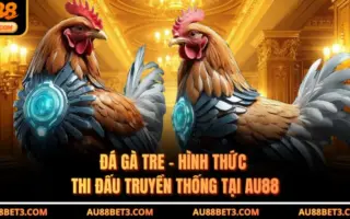 Đá Gà Tre - Hình Thức Thi Đấu Truyền Thống Tại AU88